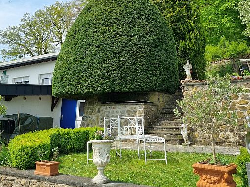 Gartenpflege