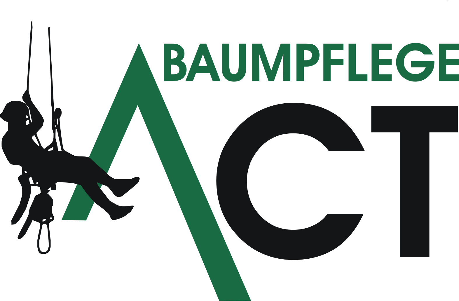 Baumpflege Christoph Thomas